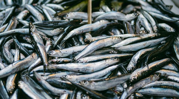 L'accompagnement prénatal pour futurs parents LGBT+