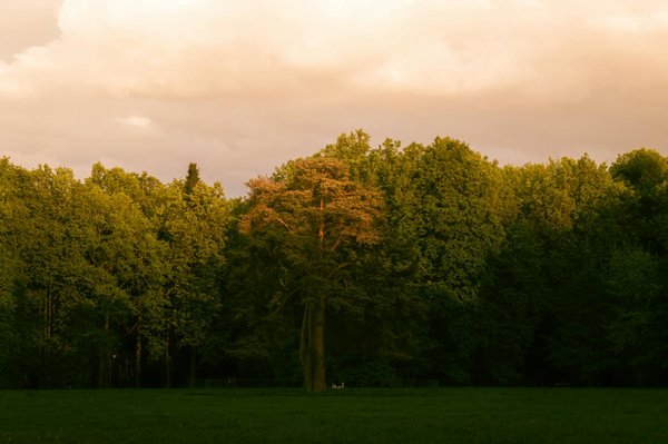 Découvrez comment la technologie révolutionne l'art de bien vieillir.