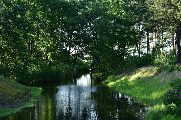 Ateliers Gourmands : Cours de Cuisine Sans Sucre à Découvrir
